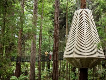 Redwoods Treewalk